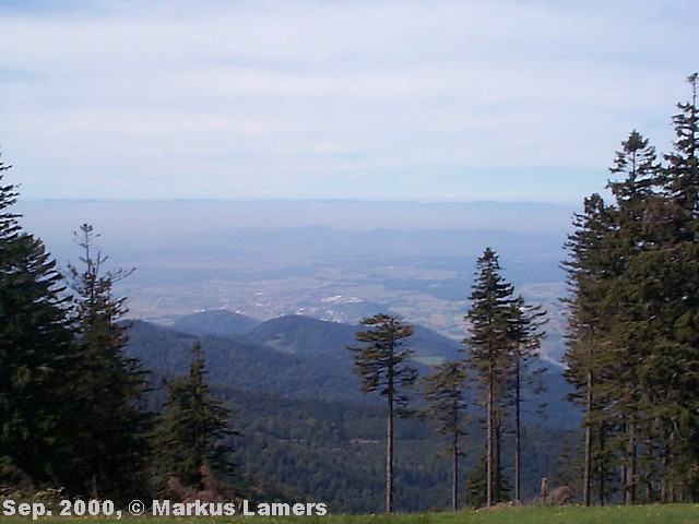 Blick vom Kandel (3)